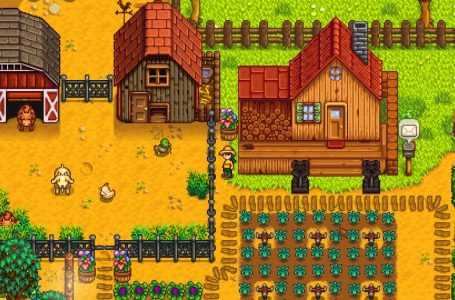  Stardew Valley – All Farm Type Differences & Which Is Best 