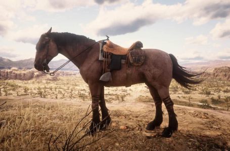  Where to find all best horses in Red Dead Redemption 2 Chapter 2 