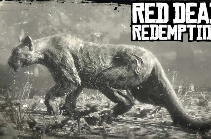 Red Dead Redemption 2 локации Пантеры