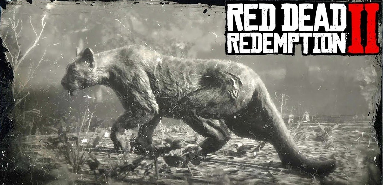 Red Dead Redemption 2 Panther Locations | Panther Map Location And Loot ...