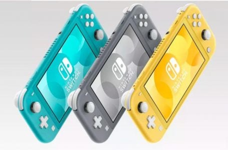  The Best Nintendo Switch Lite Accessories 
