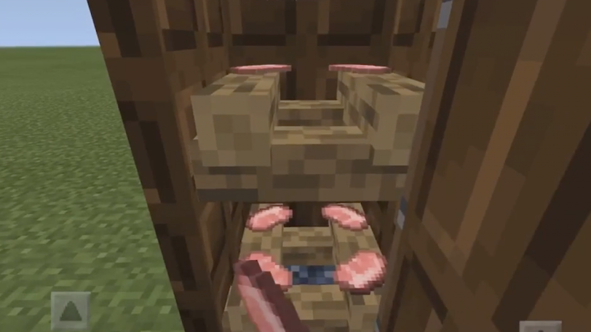 How To Tame And Breed Cats Introduced In Minecraft S 1 14 Update Gamepur