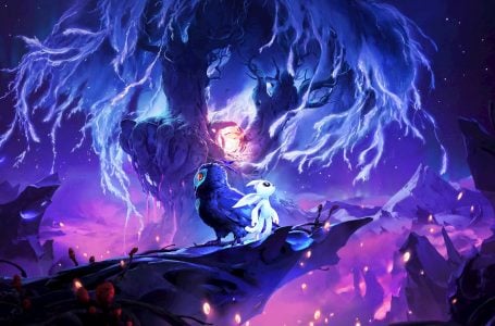  Will Ori and the Will of the Wisps come to Nintendo Switch? 