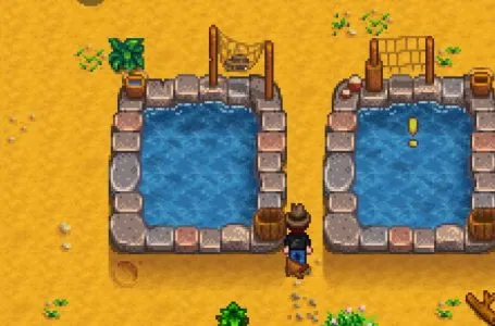  How to Build Fish Ponds in Stardew Valley 