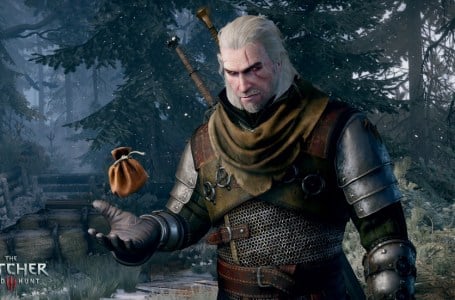  All item codes in the Witcher 3, and how to use them 