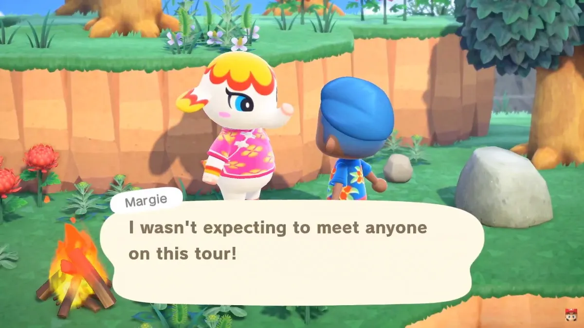 animal crossing mystery tour