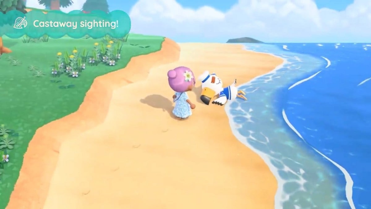 Animal Crossing New Horizons castaway