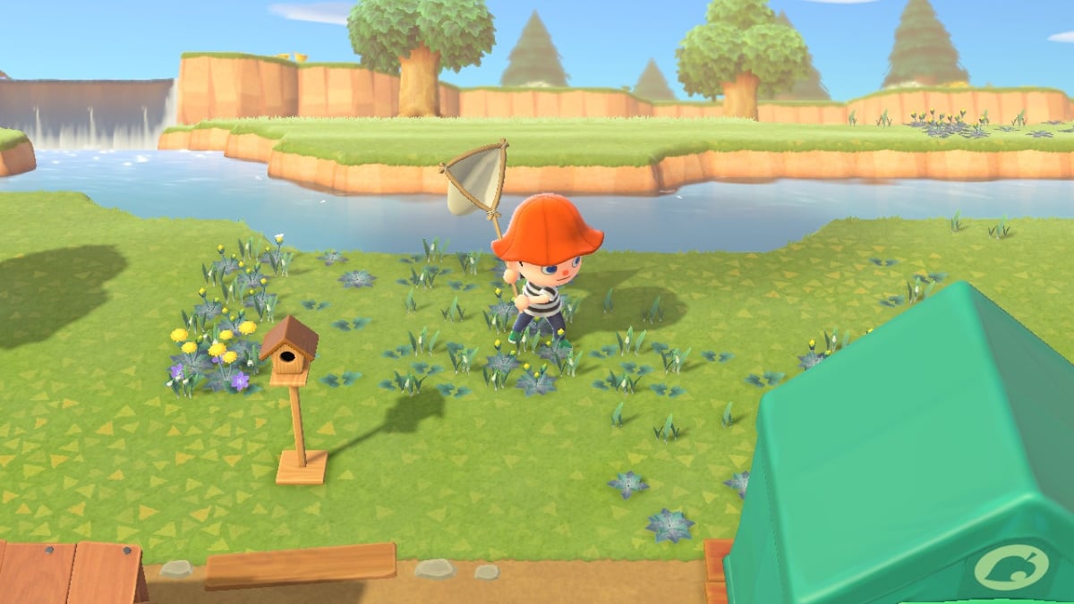 How to sneak up and capture bugs in Animal Crossing: New Horizons - Gamepur