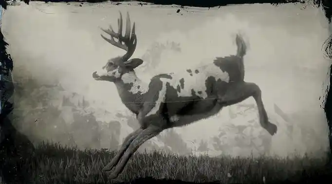 Black and white image of a piebald buck jumping.