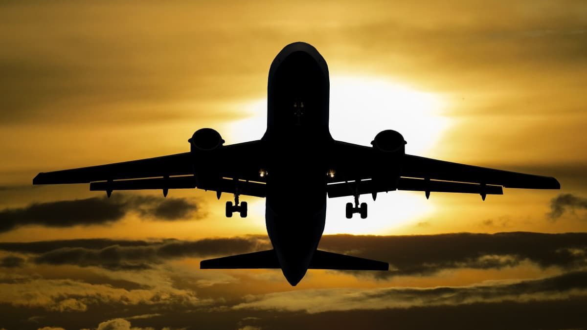 How to become a pilot in BitLife – Airline captain guide - Gamepur