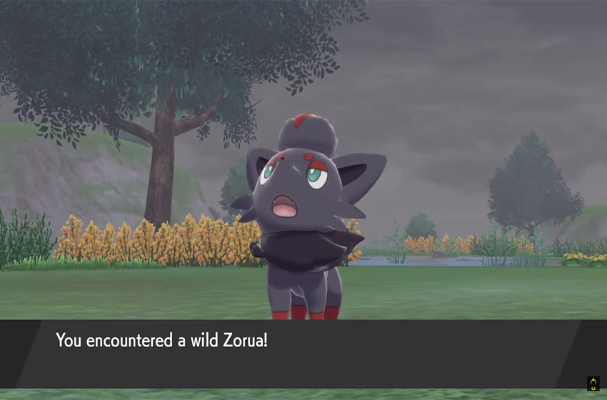 How to get Zorua in Pokemon Sword and Shield's Isle of Armor - Gamepur