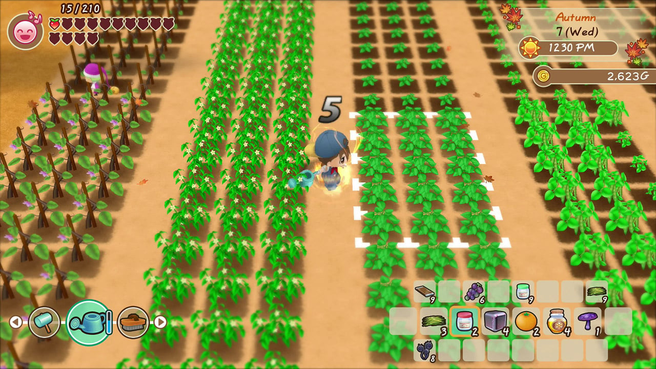  How to plant crops in Story of Seasons: Friends of Mineral Town 