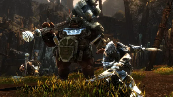 Is there multiplayer in Kingdoms of Amalur: Re-Reckoning?
