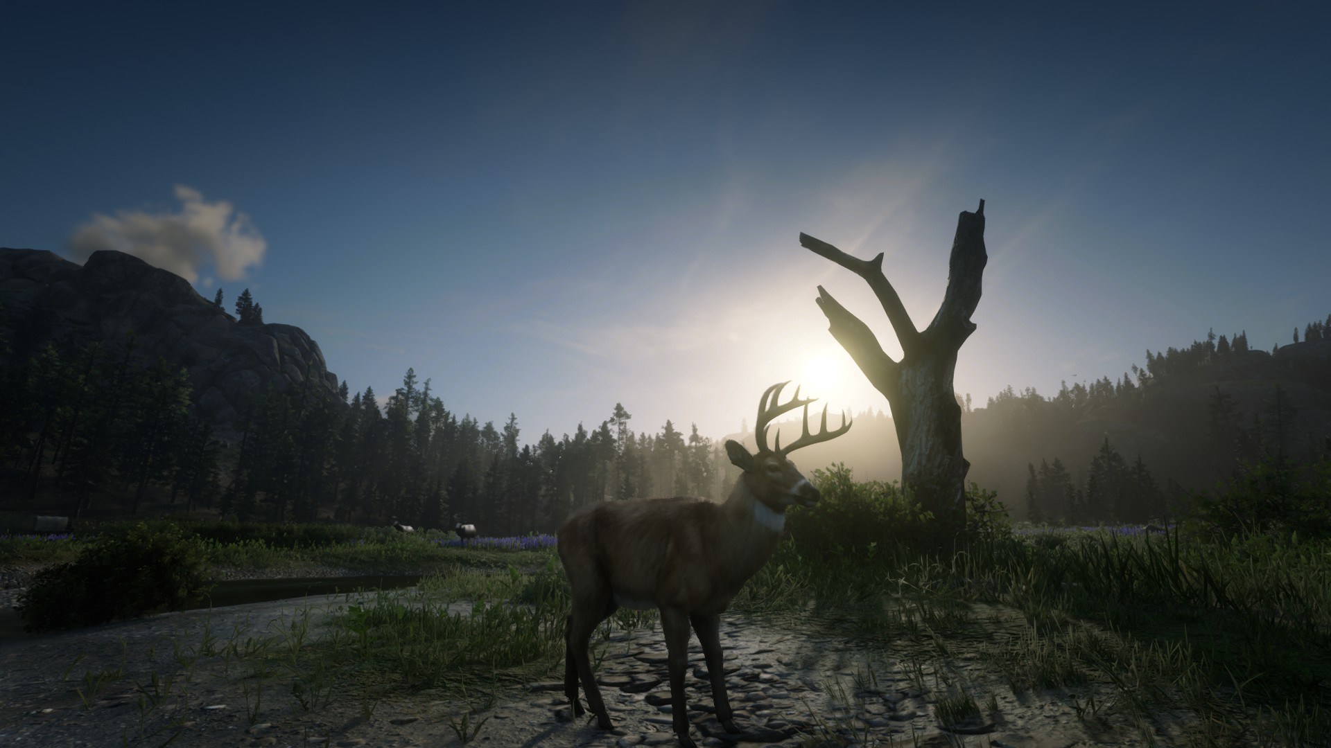 How to stay transformed longer in Red Dead Online - Gamepur