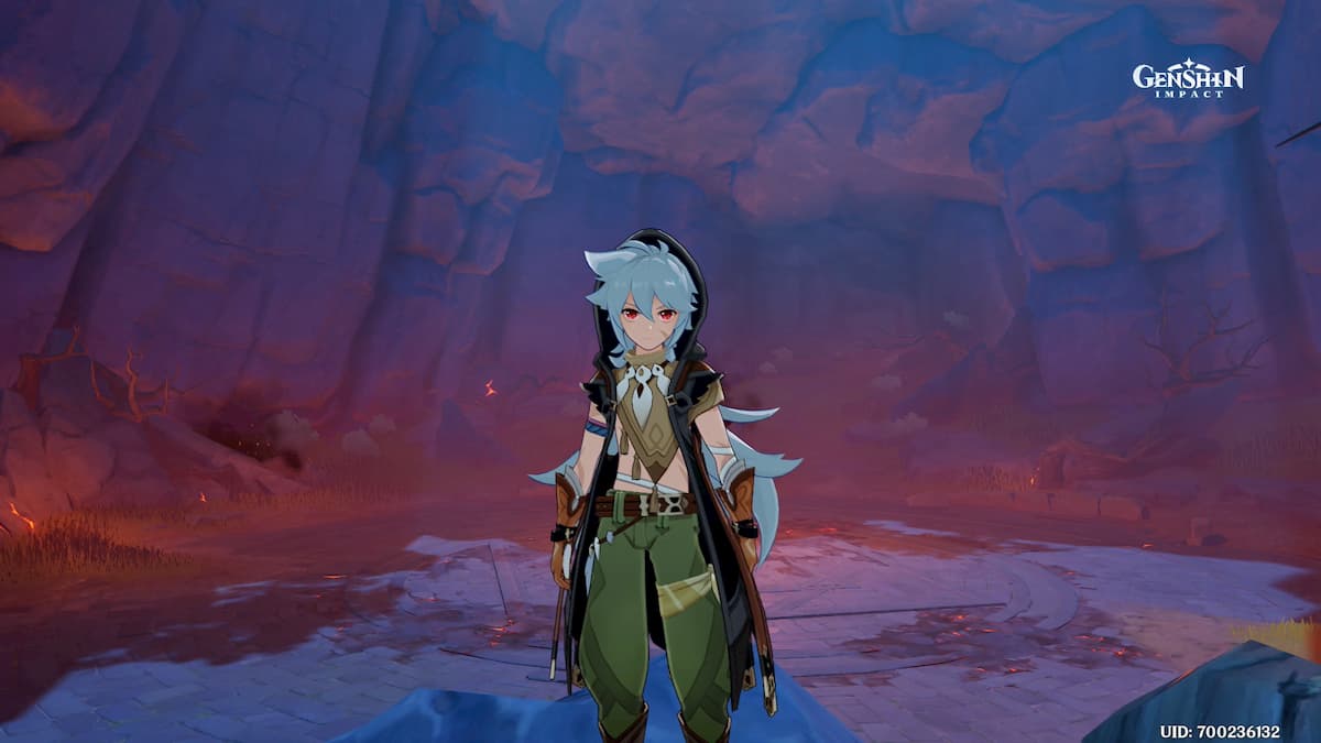 Snapshots quest How to get the Kamera in Genshin Impact Gamepur