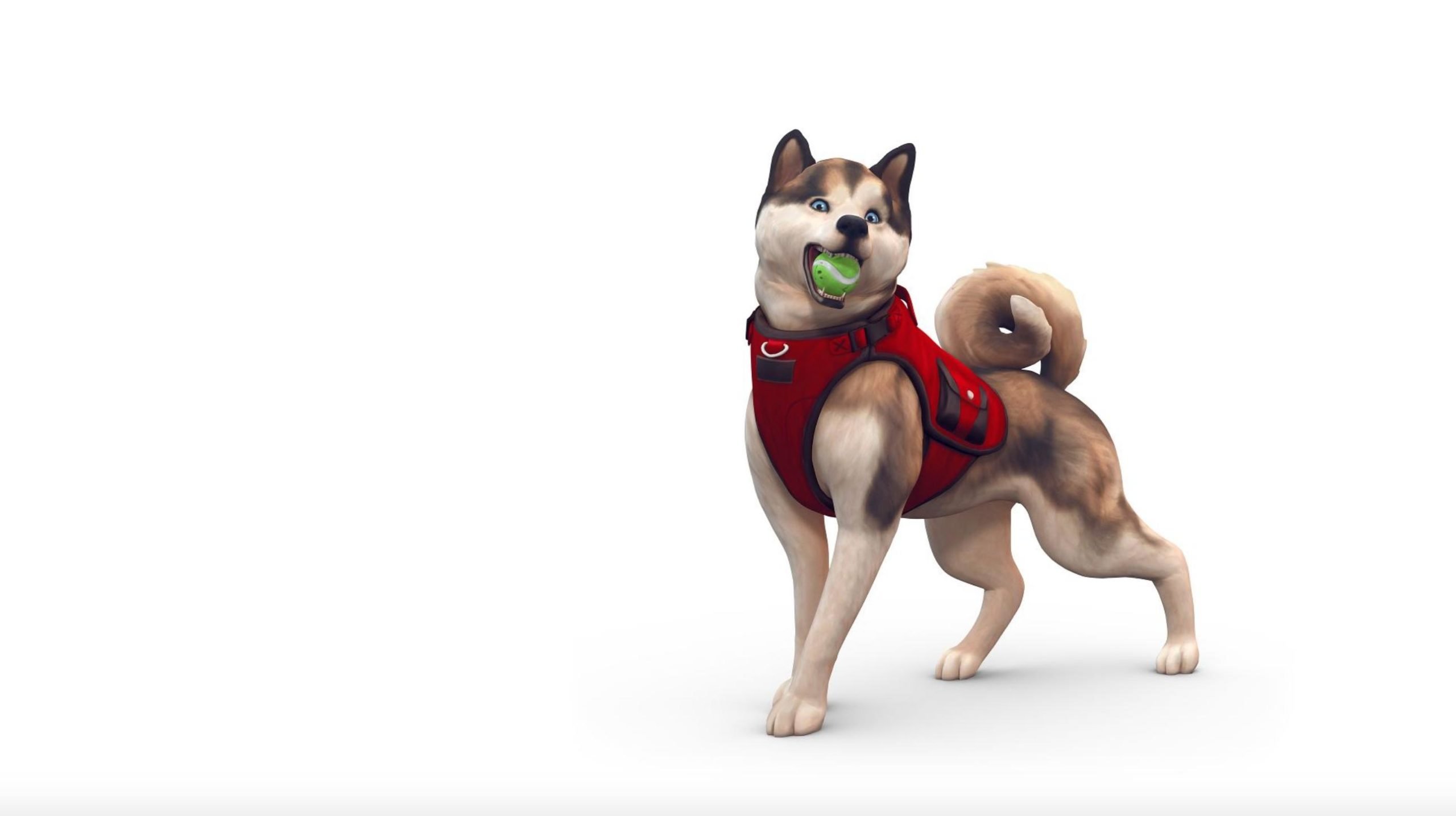 How to age pets up and down in The Sims 4 - Gamepur