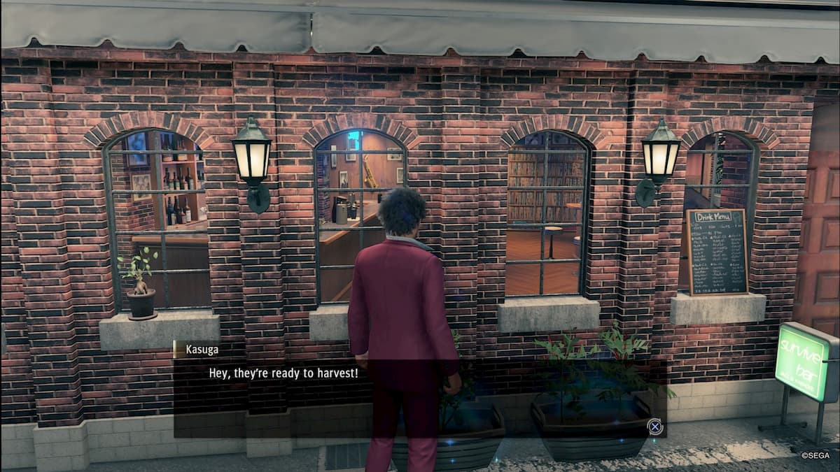  How to unlock planting and gardening in Yakuza: Like a Dragon 