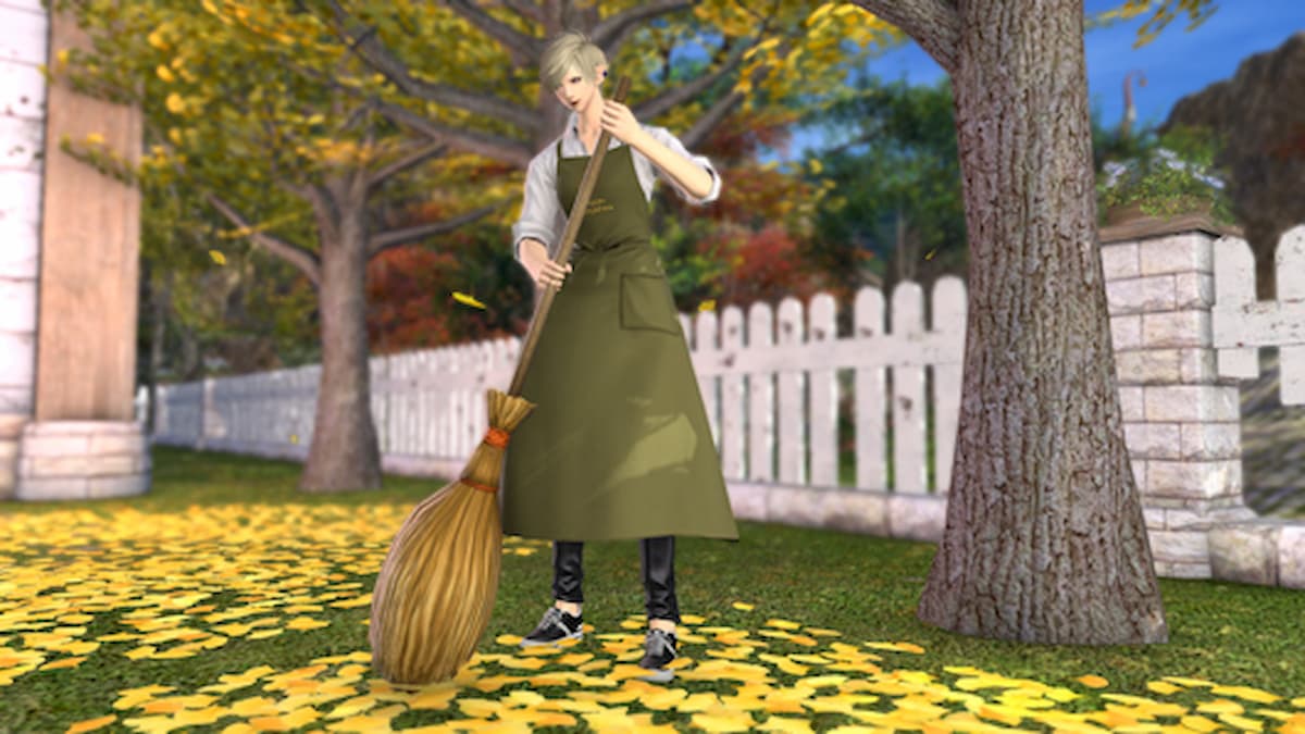 Final Fantasy XIV How to Get The Broom Emote, Ballroom Etiquette
