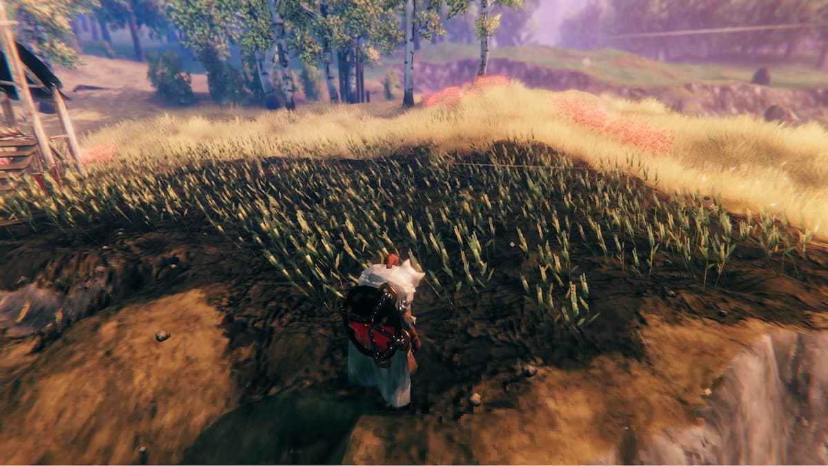 How to ride lox in Valheim - Gamepur