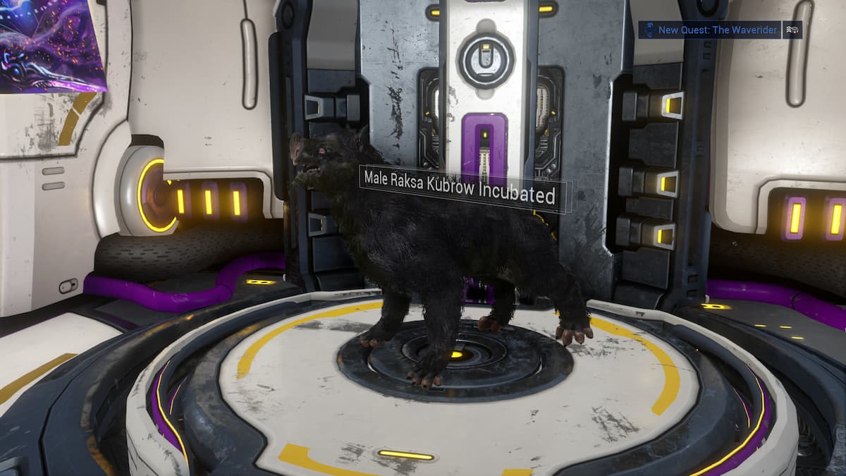 How to Get a Kubrow Collar in Warframe Gamepur