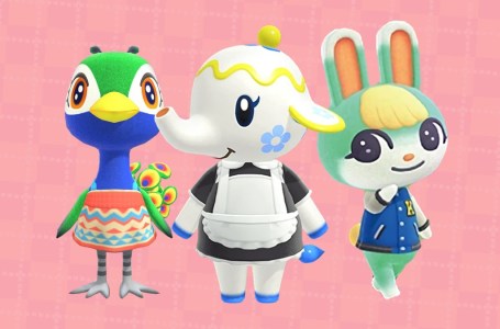  Top 10 cutest Villagers in Animal Crossing: New Horizons 
