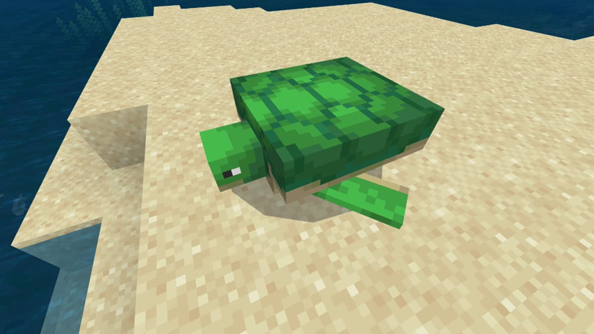 How to get Sea Turtle Eggs in Minecraft Gamepur