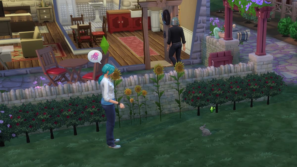 How to befriend rabbits in The Sims 4 Gamepur