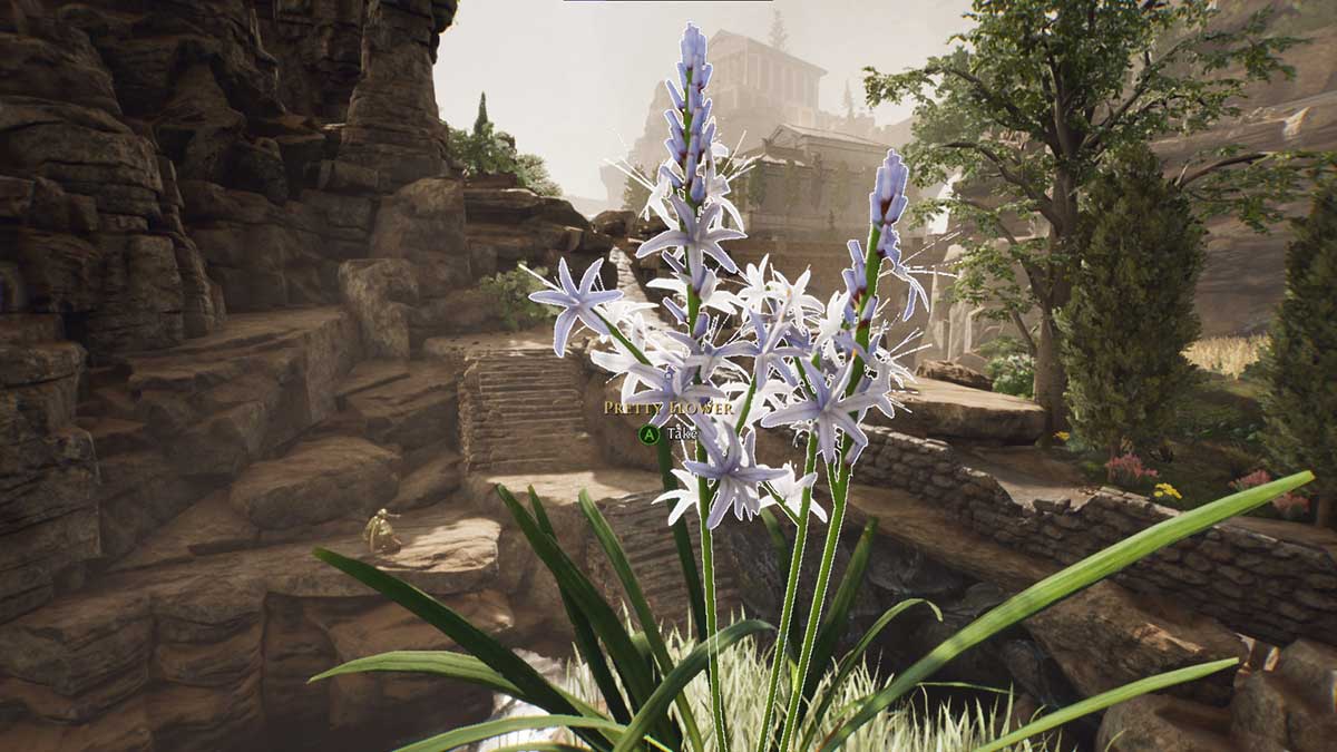 How to get the Pretty Flower for Galerius in The City Gamepur