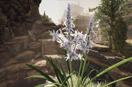  How to get the Pretty Flower for Galerius in The Forgotten City 