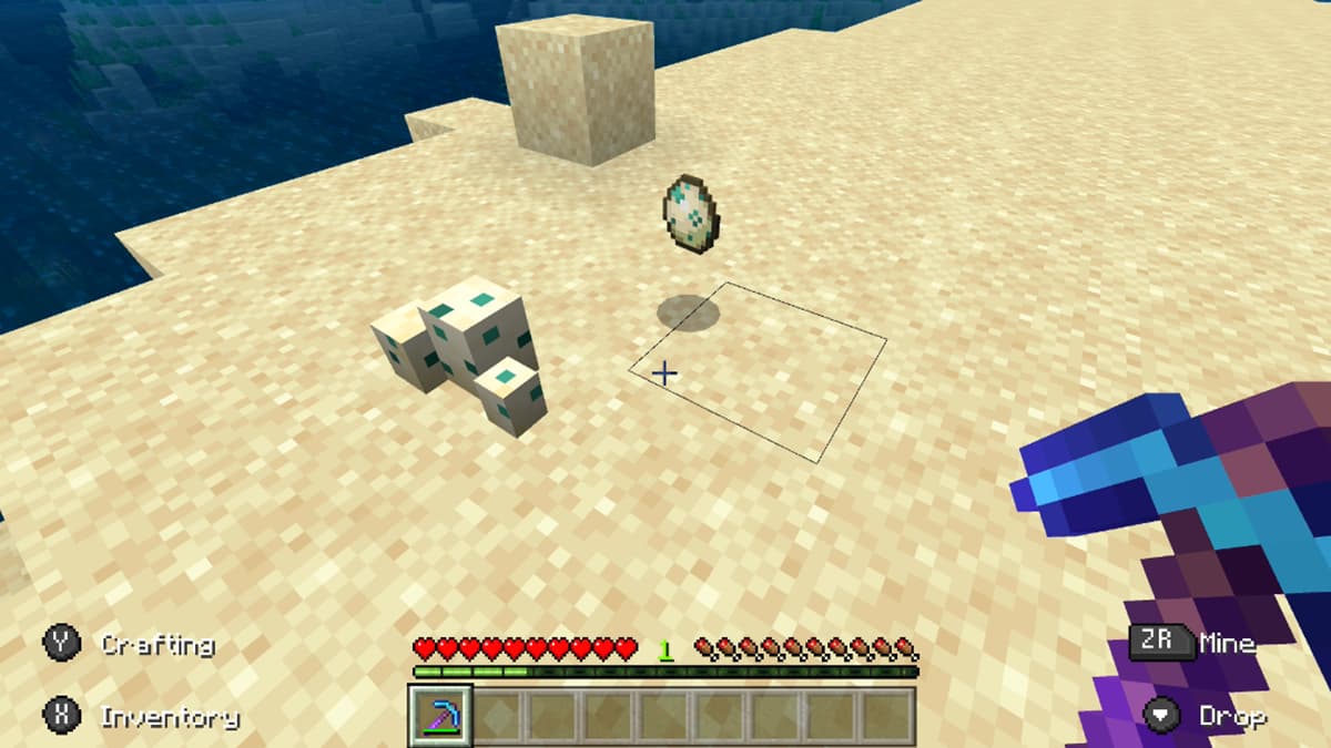 How to Get Sea Turtle Eggs in Minecraft – Game News