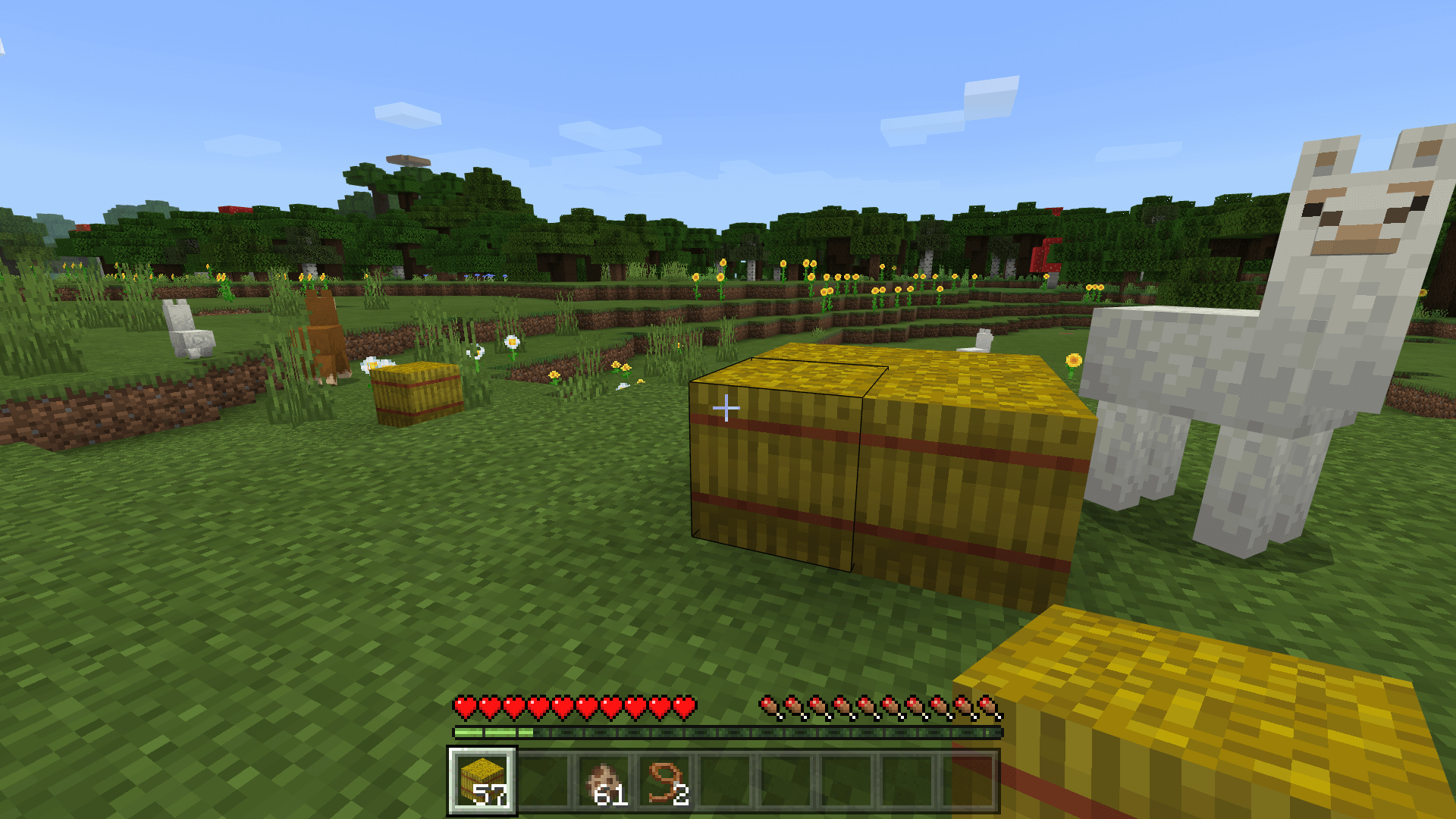What Do Llamas Eat In Minecraft Gamepur