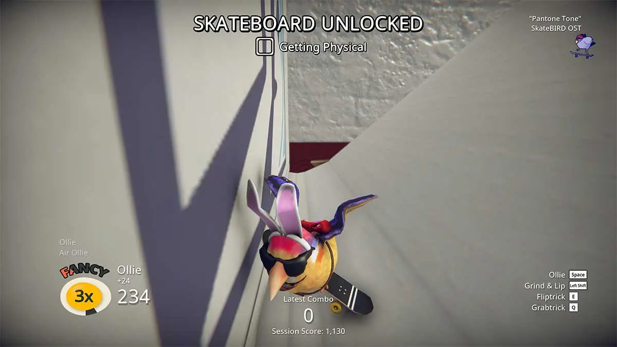 getting-physical-skateboard-unlocked-skatebird