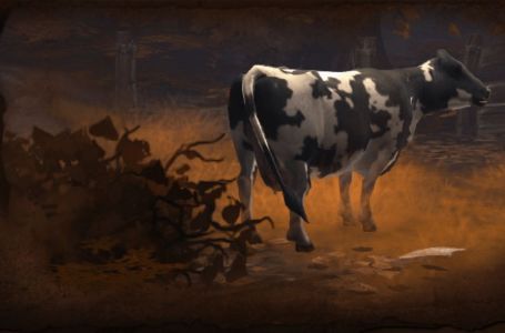  How to enter Diablo 2: Resurrected’s secret cow level — and how it’s different from Diablo 2 