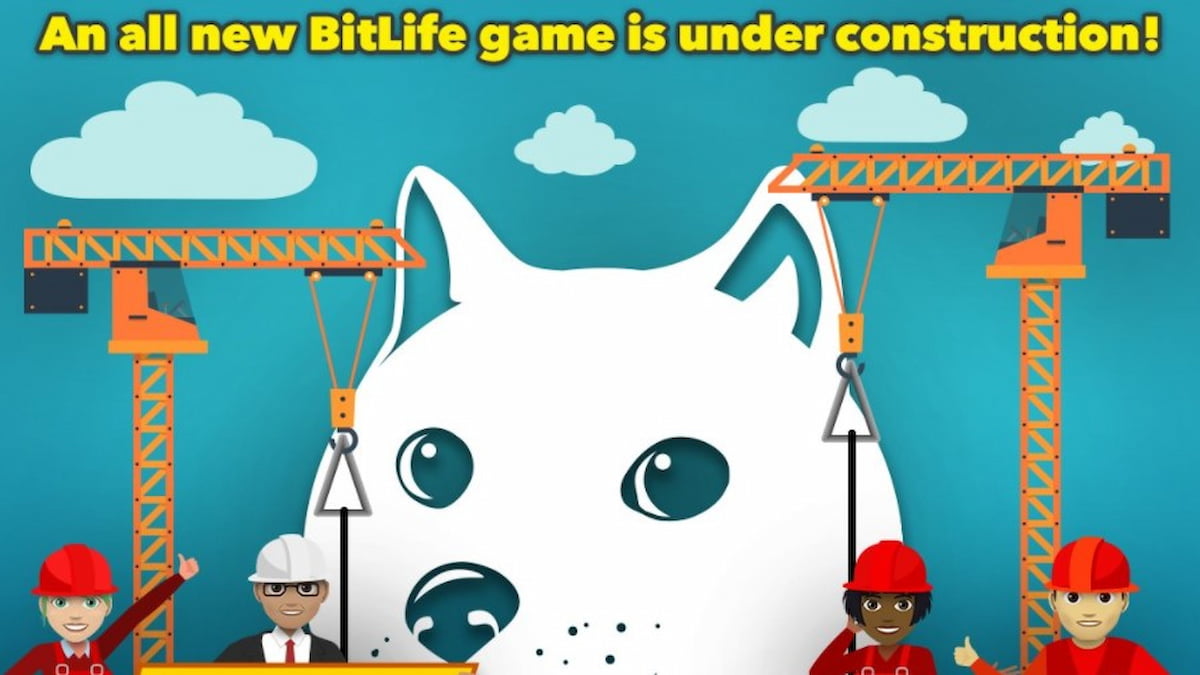 How to escape a pet store or animal shelter in DogLife - Gamepur