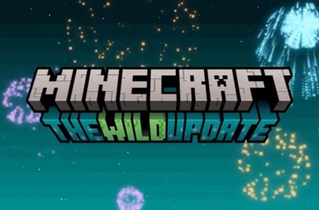 The Wild Update will be the next major update for Minecraft 