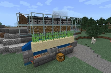  How to make an automatic sugar cane farm in Minecraft 