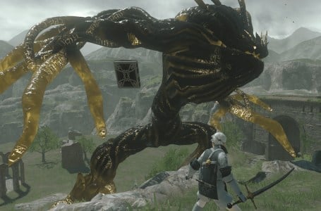  What was the color of the Lost Envy in Nier Replicant? Answered 