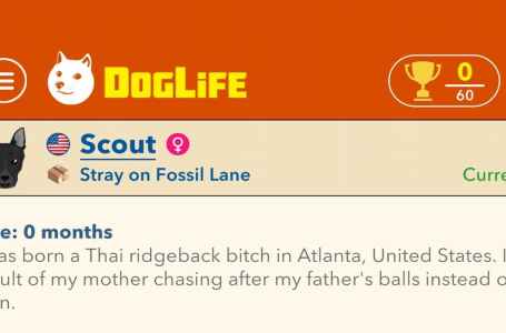  Should you get Top Dog in DogLife? 