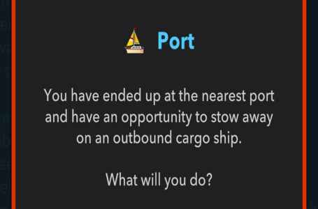  How to stow away on a ship in DogLife – We are Castaways Achievement 