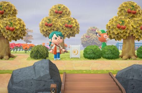  What is the donation box and how it works in Animal Crossing New Horizons’ 2.0.0 update 