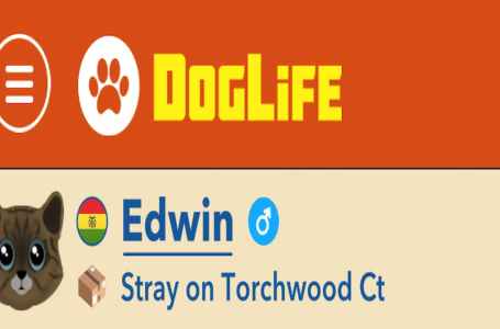  How to get the Here’s to Evolution achievement in DogLife 