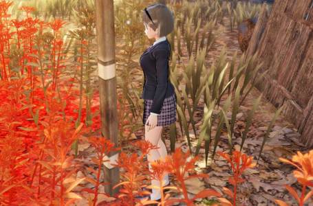 Where to find Balloon Cabbage in Blue Reflection: Second Light 