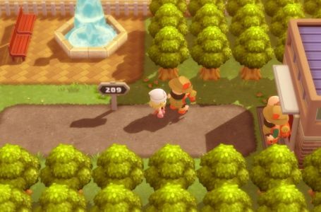  Where to find Happiny in Pokemon Brilliant Diamond and Shining Pearl 