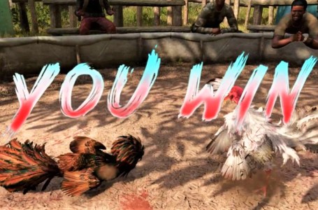  How to win cockfighting in Far Cry 6 