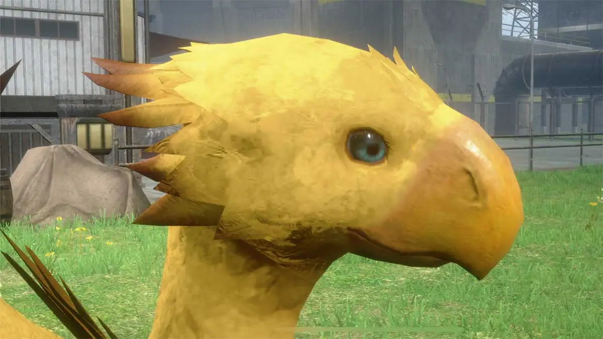 how-to-get-more-chocobo-in-final-fantasy-vii-the-first-soldier