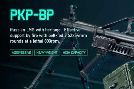  Best PKP-BP Loadout in Battlefield 2042 