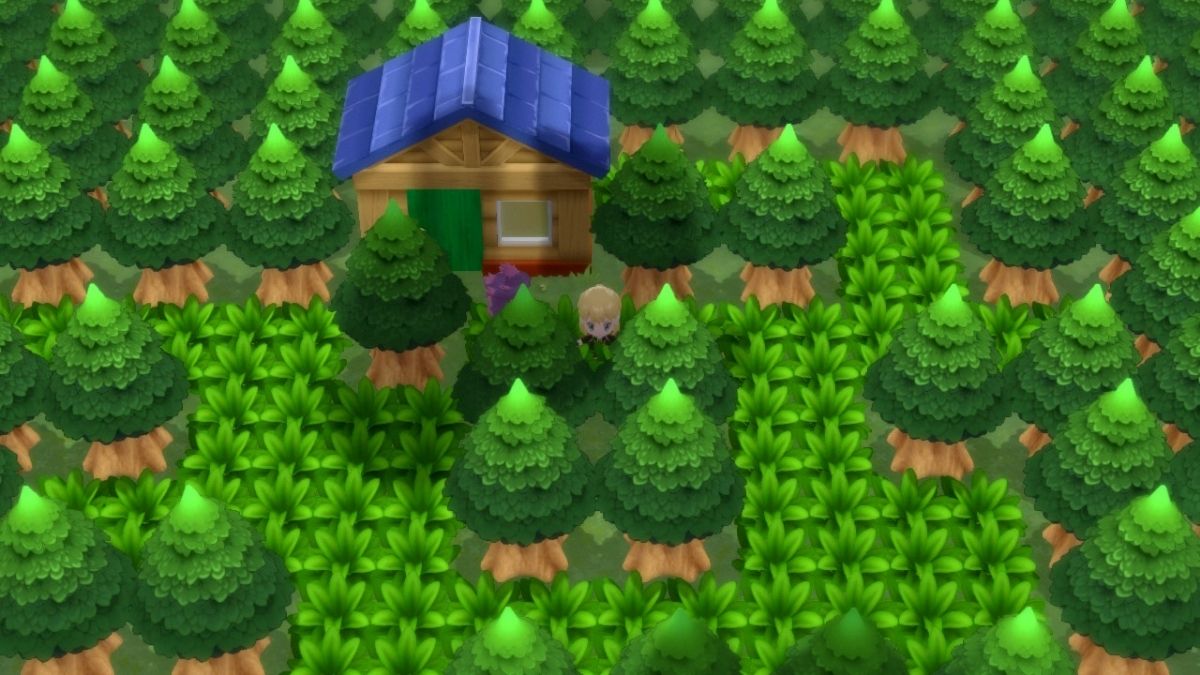 Where to find the Black Belt, Expert Belt, and Focus Sash in Pokémon