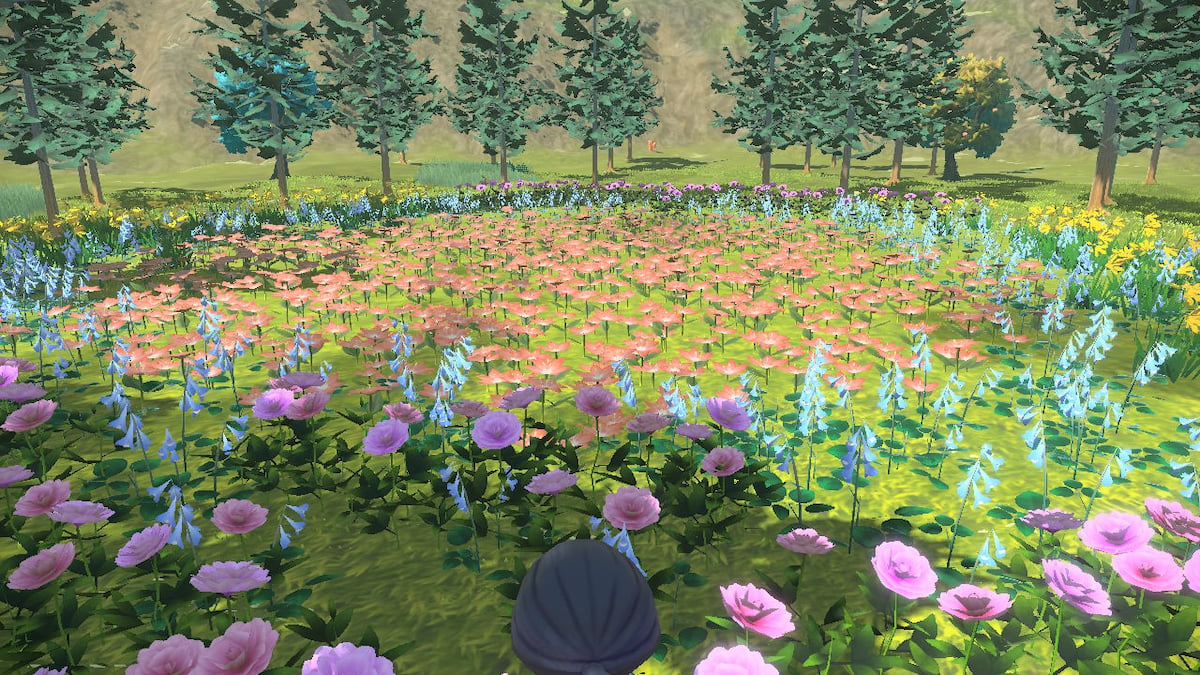 A Token of Gratitude request guide - Pokémon Legends: Arceus - Gamepur