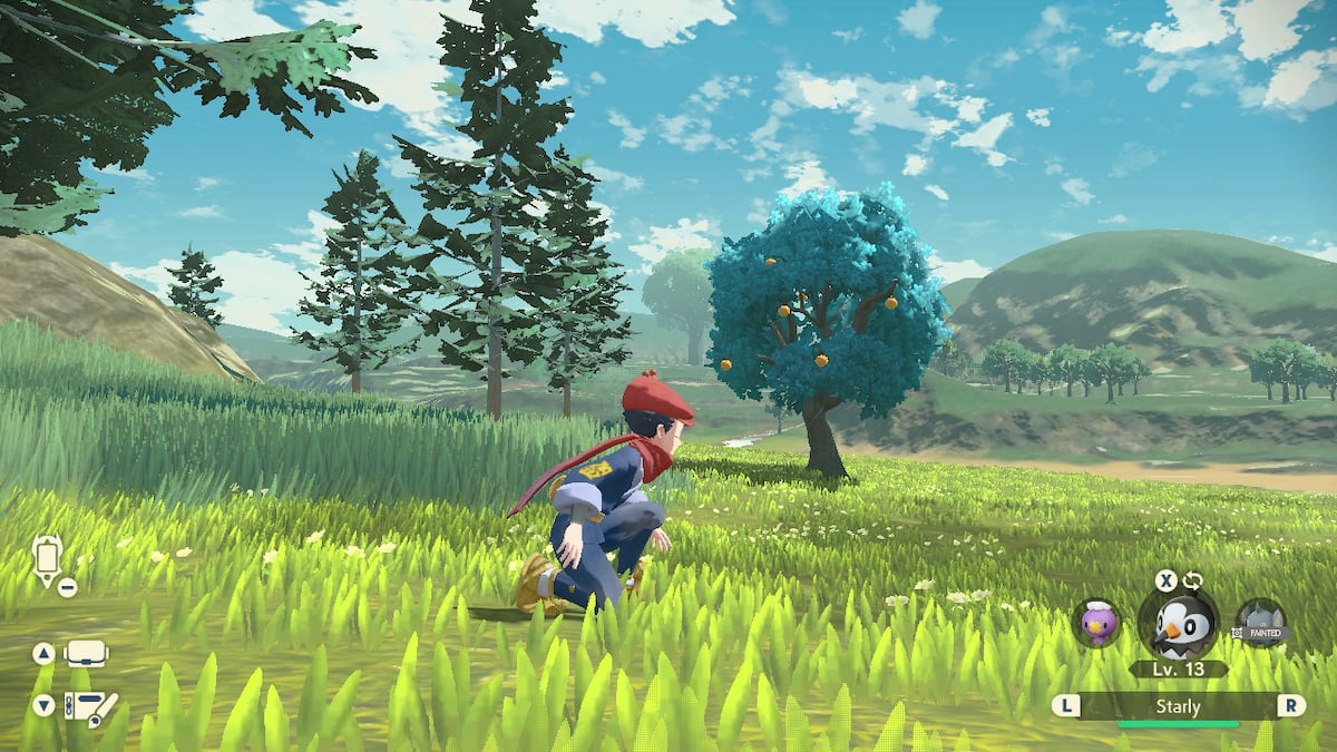 Where to get Cheri Berries in Pokémon Legends Arceus Gamepur