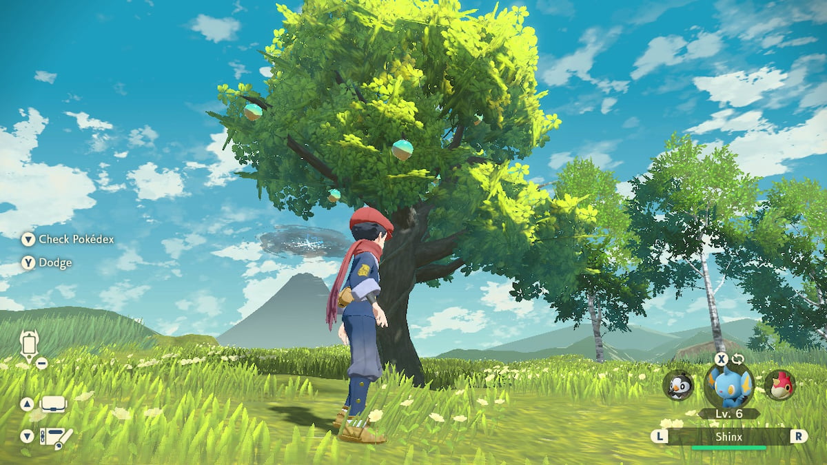 Where to find Oran Berries in Pokémon Legends Arceus Gamepur